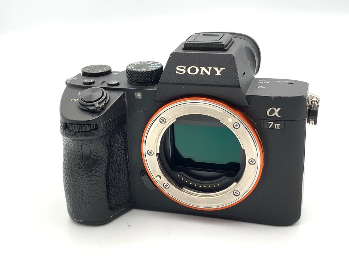 Sony α7III [ILCE-7M3 #3203
