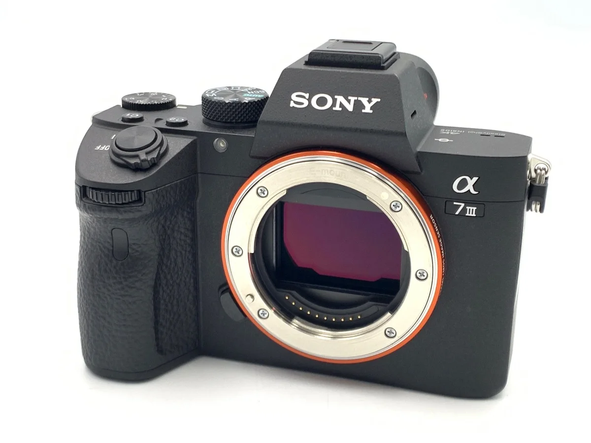 Sony α7III [ILCE-7M3 #3199
