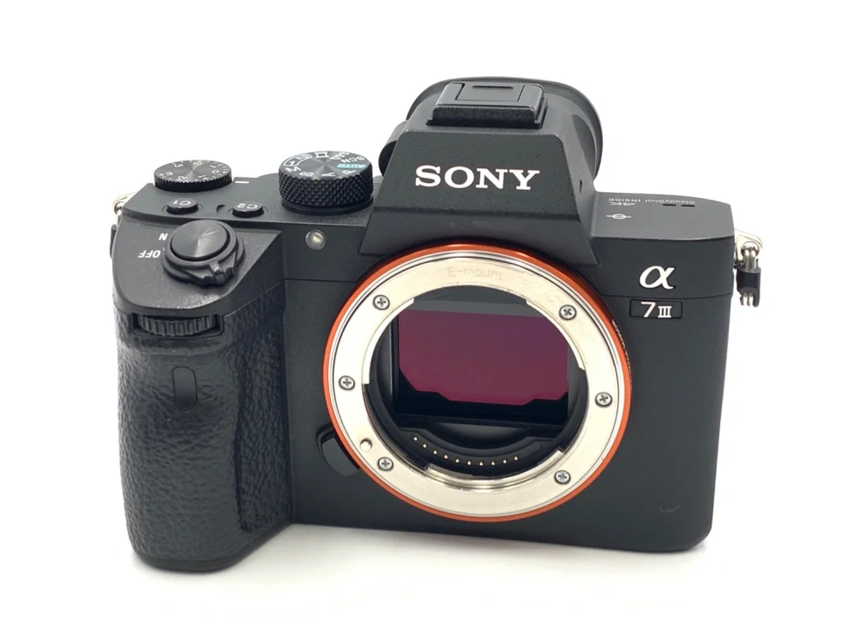 Sony α7III [ILCE-7M3 #3193