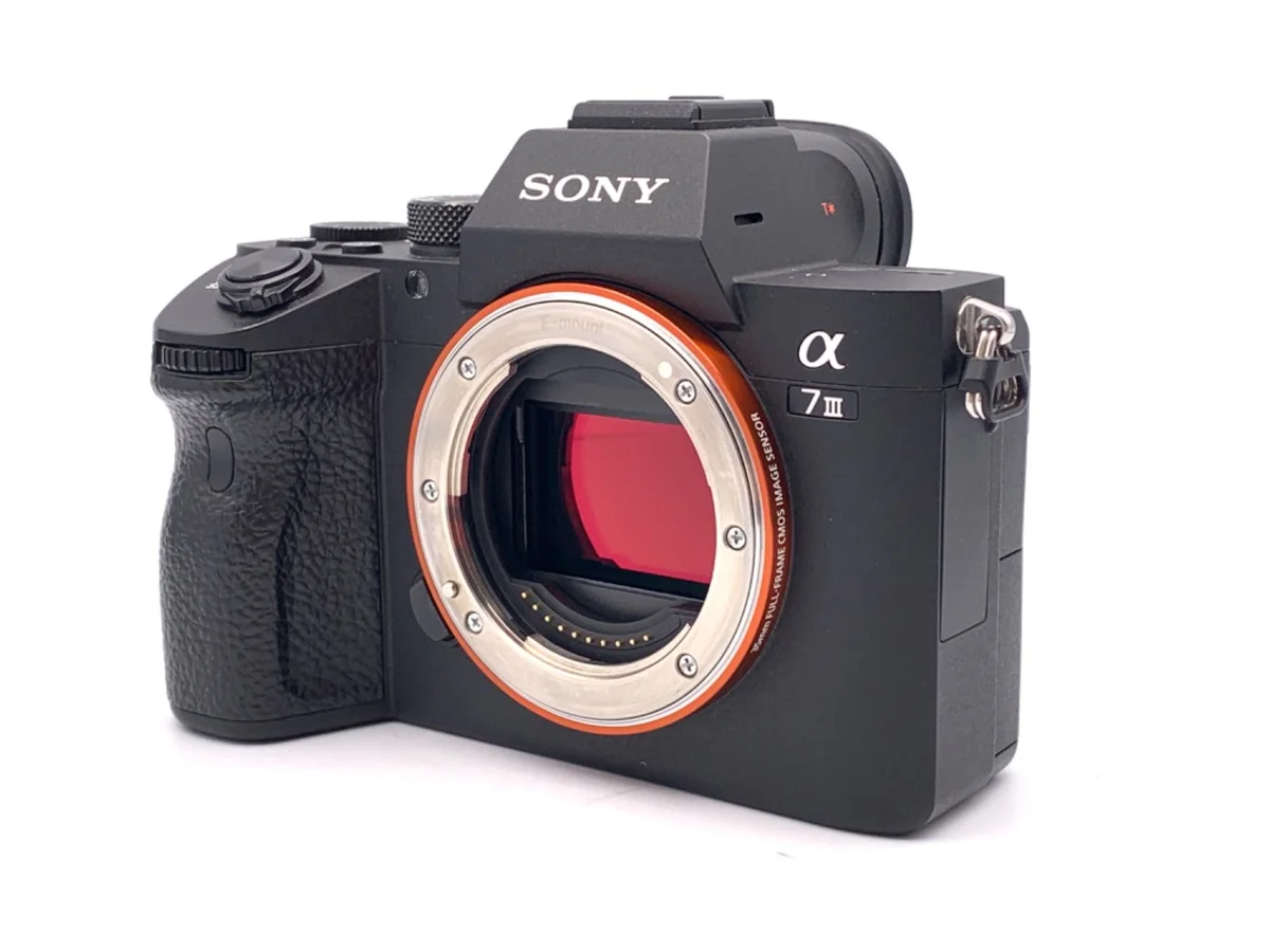 Sony α7III [ILCE-7M3 #3222
