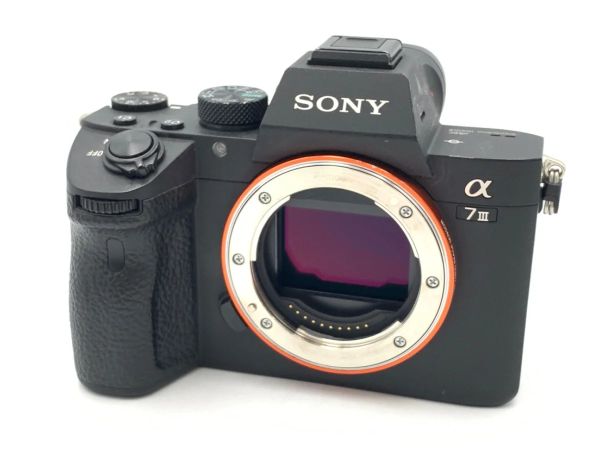 Sony α7III [ILCE-7M3 #3250