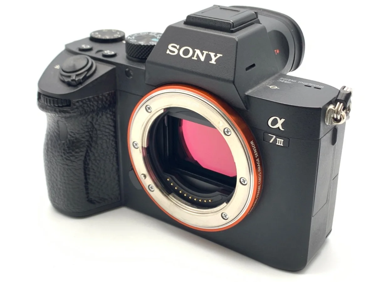 Sony α7III [ILCE-7M3 #3190