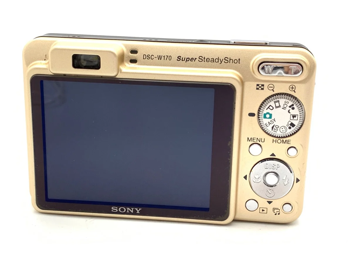 Sony Cyber-shot DSC-W170-NC - Thumbnail 2